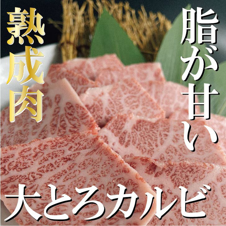 肉ギフト（3000円程度） 焼肉屋さんの【熟成特上カルビ】高級焼肉 焼肉 焼き肉 やきにく 熟成肉 霜降り 贅沢 カルビ バーベキュー 肉 にく プレゼント 食材 お取り寄せ 贈り物 BBQ ギフト おうち焼肉 肉ギフト 神保町（焼肉処 三幸園）