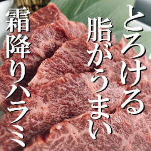 焼肉屋さんの【上ハラミ】焼き肉 焼肉 高級焼肉 やきにく ハラミ はらみ 霜降り バーベキュー 肉 にく プレゼント 食材 お取り寄せ 贈り物 BBQ ギフト おうち焼肉 肉ギフト 神保町（焼肉処 三幸園）