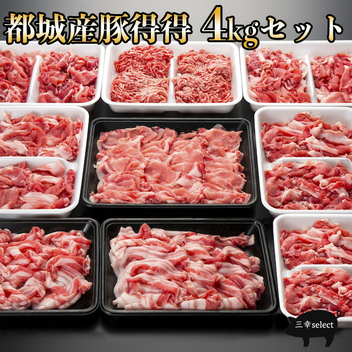 【ふるさと納税】豚小間切れ 豚ミンチ セット 合計7kg 豚肉 ポーク 国産 食品 おかず こま切れ 挽肉 日南市産 個包装 万能食材 おすすめ 生姜焼き 炒め物 ハンバーグ おかず お弁当 おつまみ ご褒美 お祝い 記念日 お取り寄せ グルメ 詰め合わせ おすそ分け 宮崎県 送料無料