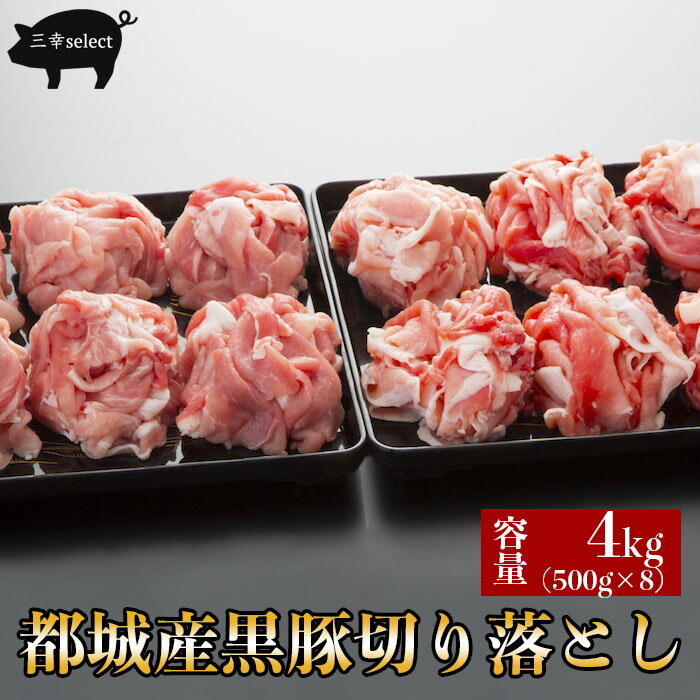 【ふるさと納税】ChaChatぐるめ きじょん山豚の生姜焼き130g×9パック - 豚肉 加工品 真空パック 1人前 一食分 お弁当 和風 味付け肉 焼くだけ 冷凍食品 おかず お惣菜 一人暮らし ショウガ焼き しょうが焼き 簡単調理 みやざきサンミート季穣 送料無料 【宮崎県木城町】