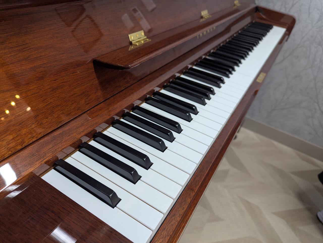 ��Ÿ�����ʡۥ�ޥ� YUS1Mhc ���� �ޥۥ��ˡ� ǭ­ ���åץ饤�ȥԥ��� 2024ǯ��ŹƬŸ����