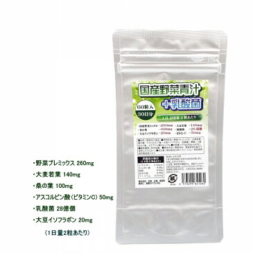 国産野菜青汁+乳酸菌 サプリメント 30日分 2粒に、野菜プレミックス260mg、大麦若葉140mg、桑の葉100mg、乳酸菌28億個、大豆イソフラボン20mg、葉酸、ビタミンC配合 国産野菜配合【送料無料】