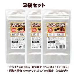 しじみ+霊芝 サプリ 90日分 【3袋セット】2粒にシジミエキス末96mg、鹿角霊芝12mg、オルニチン132mg、肝臓水解物120mg、グルタチオン酵母80mg、ビール酵母60mg、セラクルミン8mg、サイクロデキストリン58mg配合 お酒好きな方にも【送料無料】