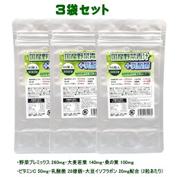 国産野菜青汁+乳酸菌 サプリメント 90日分【3袋セット】 2粒に、野菜プレミックス260mg、大麦若葉140mg、桑の葉100mg、乳酸菌28億個、大豆イソフラボン20mg、葉酸、ビタミンC配合 国産野菜配合【送料無料】DEAL