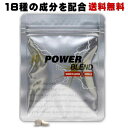 POWER BLENDサプリメント 60粒 1ヶ月分 18種の成分高配合 マカ スッポン 赤マムシ オタネニンジン 高麗人参 亜鉛含有酵母 サソリ 蟻 ニンニク...