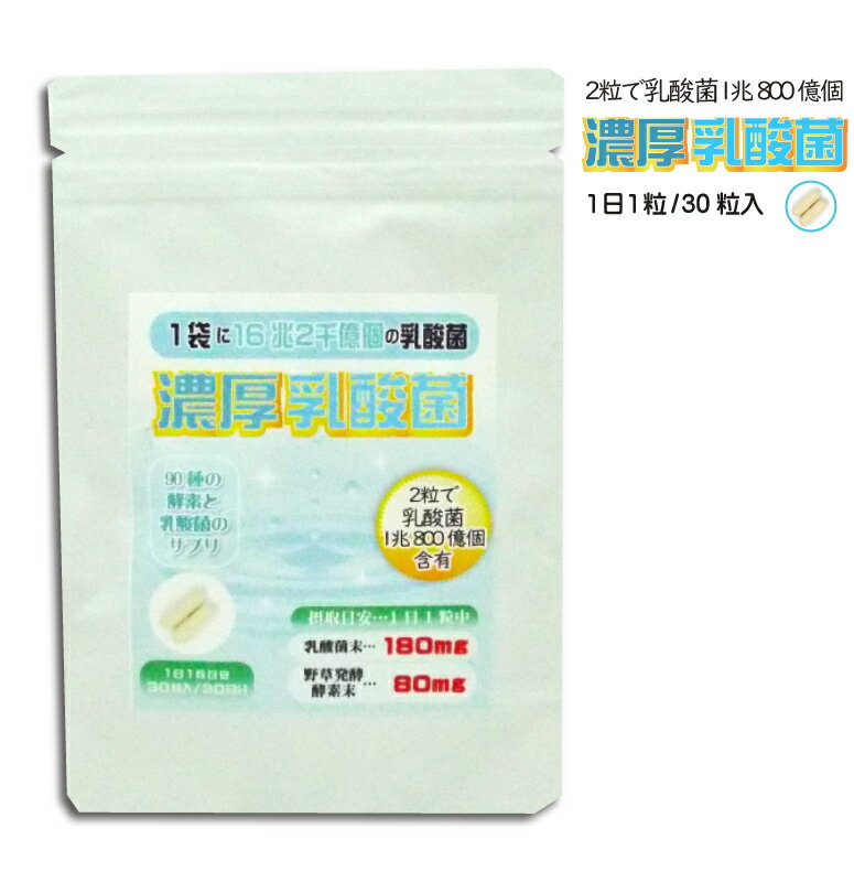 ̵+ 2γ1Ĥ۹硡ޤ162鲯Ĥݤ۹硡γ180mgȯڹ80mg 1γ5,000ġ2γ1ġåȡDEAL