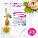 【送料無料】濃縮配合 生プラセンタ PREMIUM 生タイプ 180粒入 3〜6カ月分 ソフトカプセル 馬プラセンタ