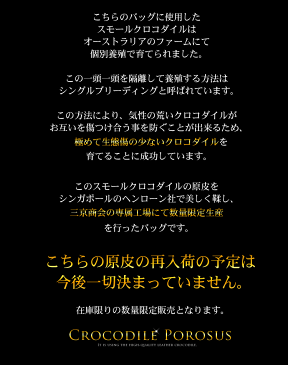 クロコダイル バッグ メンズ スモールクロコダイル ポロサス ヘンローン 本革 イリエワニ ビジネス 紳士 男女兼用 A4が入る ラム革 最高級 レザー ヘンロン 安心 保証書 付き 誕生日 ギフト 父 父の日 『ギフト』 (06000801r)