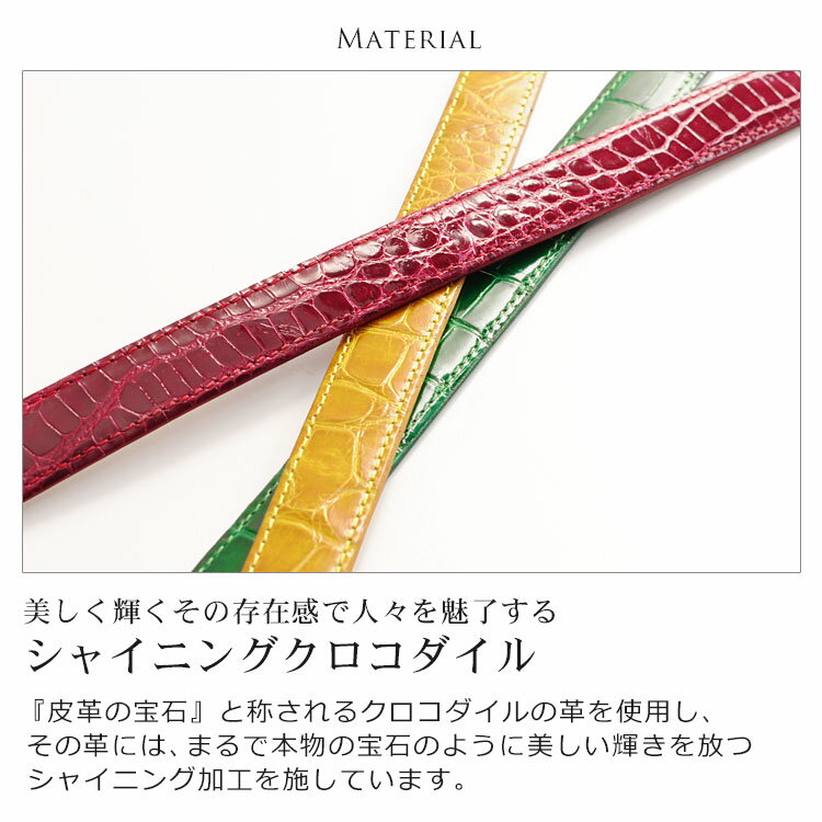 【5％クーポン】日本製 レディース ベルト クロコダイル 20mm 幅 ピンタイプ 全18...