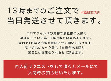 マスク 在庫あり 即納 不織布 250枚 使い捨てマスク プリーツタイプマスク ふつうサイズ 高品質 ホワイト 簡易包装 会社用 施設用 大人用 使い捨てマスク レディース 耳が痛くならないマスク 国内発送マスク 白色 ウィルス対策 送料無料 mask(09000168-ll250r)