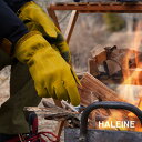 アウトドア グローブ キャンプ 作業用 熱 火 防刃 耐突 BBQ レザー バーベキュー HALEINE 手袋 ソロキャン 秋 冬 春 DIY 木工 焚き火 ファイヤー ガーデニング キャンプ用品 焚火 薪割り クラフト おしゃれ 機能 【ネコポスで送料無料】【名入れ 可能】 7F (05000054r)