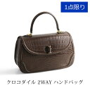 【1点限り】 クロコダイル ハンド バッグ マット 加工 2WAY ショルダー ダークブラウン 母の日 ギフト プレゼント 4FA (06001735r)