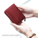 【10%オフクーポン発行中】オーストリッチ コンパクト 財布 レディース 女性 ミニ財布 【ネコポスで送料無料】 ミニ コンパクト財布 小さい 小さめ 小さい財...
