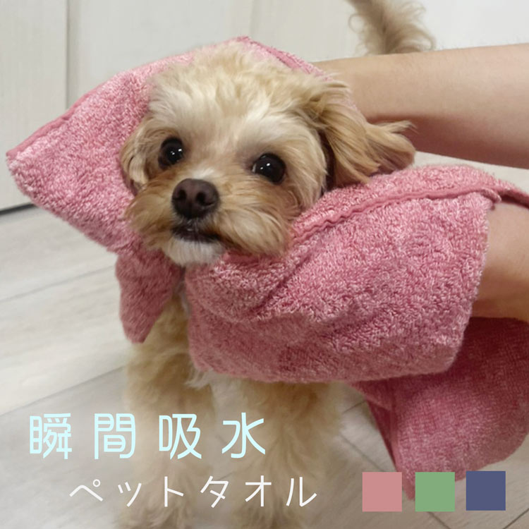 ペット タオル 吸水 ペット用タオル 犬 猫 【ネコポスで送料無料】 シャンプー 吸水タオル ミトン 瞬間吸水 8倍吸水 速乾 時間短縮 小型犬 わんちゃん 体拭き 綿 ギフト プレゼント 7F (09000516r)