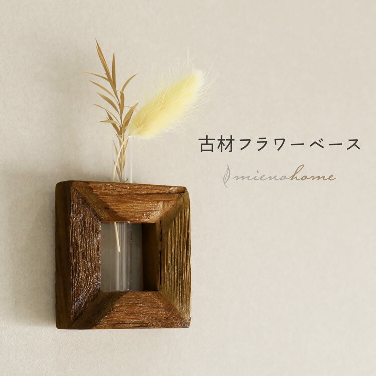  ե١    ƥꥢ ̾ ǽۡڥͥݥ̵ mieno home  ŷ ޤ S  ƥ...