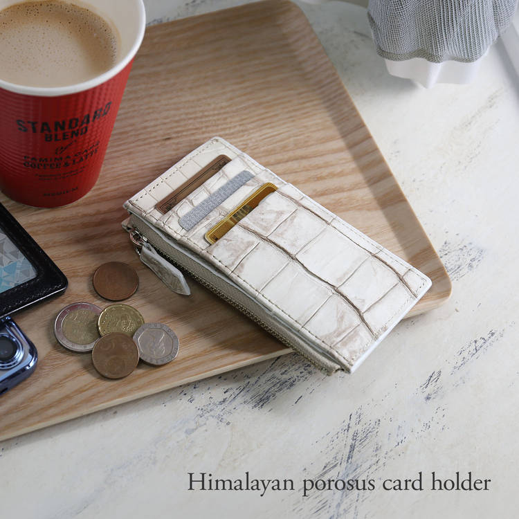 【24h限定10%off】スモールクロコダイル 4FA (06001944r)