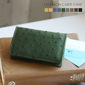 フルポイント オーストリッチ 名刺入れ 約50枚収納 カード入れ付き メンズ 全12色【ネコポスで送料無料】 プレゼント ギフト 『ギフト』 バレンタイン (No.9079mr)