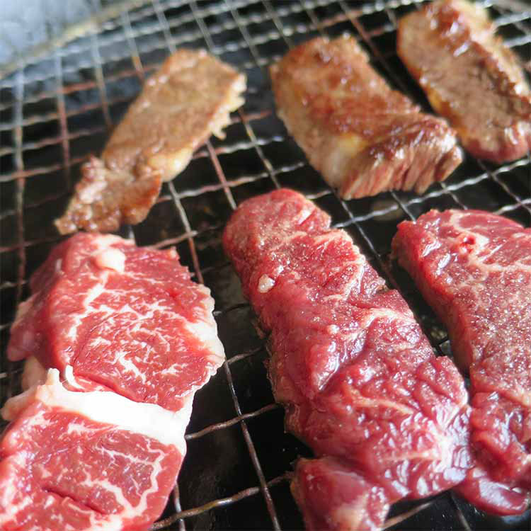 国産 和牛 ハラミ サガリ 【500g】焼肉 焼き肉 バーベキュー BBQ に はらみ さがり 冷凍