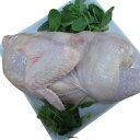 【鹿児島県産】鶏丸半割 約1kg■ぶつ切り可■鶏肉 鳥肉 とり肉 トリ肉■国産 九州産 鹿児島産 冷凍(4)