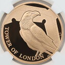 最高鑑定 2019 英国 ロンドン塔コインコレクション ワタリガラス 5ポンド 金貨 プルーフ NGC PF 70 UC 完全未使用品 元箱付 イギリス 金貨