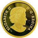カナダ金貨 富士山 ロッキー山脈 2015年 24金 純金 7.7g イエローゴールド コイン GOLD コレクション 美品 2