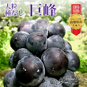 巨峰 ぶどう 種なし 山梨県 ぶどう 1kg 葡萄 ブドウ 産地直送 2房 Kyoho Grape [1房 400-600g] [200個限定]