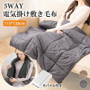 【楽天1位】電気毛布 電熱ベスト 大