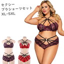 大きいサイズ セクシーランジェリー ブラセット レース ランジェリー LL 3L 4L 5L 6L 海外 直輸入 インポート ランジェリー 下着 プラスサイズ ...
