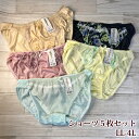 大きいサイズ ショーツ 5枚セット デザインショーツ LL 3L 4L / 普段使い プチプラ 福袋 セット ショーツ5点 お得【メール便送料無料】【同梱不可】