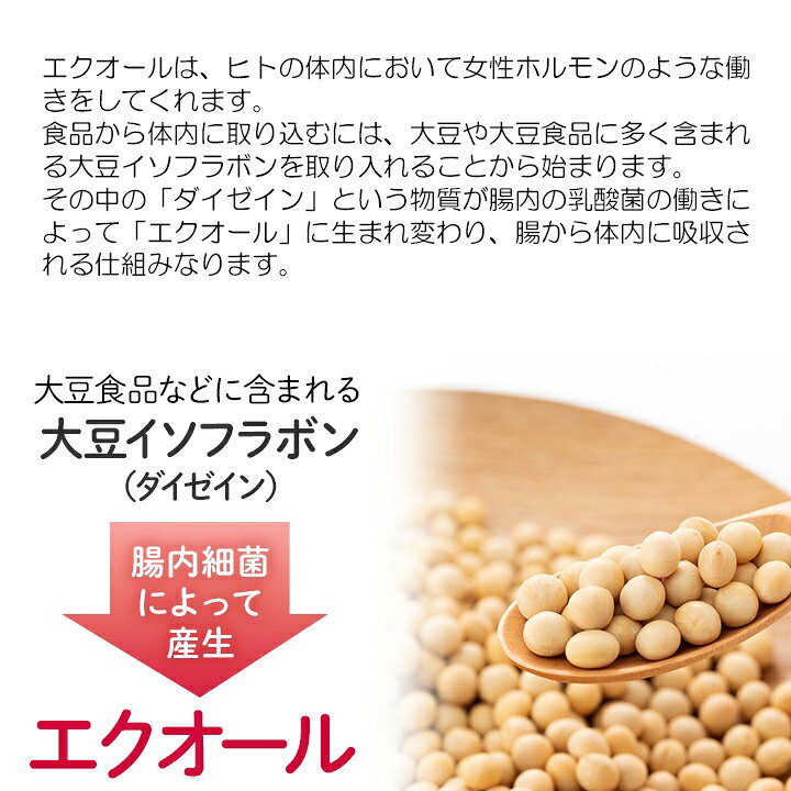 DHC 大豆イソフラボン エクオール 40日分40粒 エクオール10mg サプリ 女性 更年期...