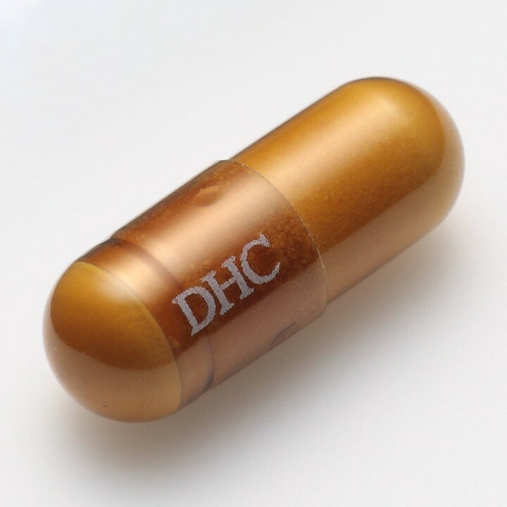 DHC 乳酸菌 EC-12 20日分　サプリメント 乳酸菌 2000億個 ビフィズス菌 腸内フローラ 健康維持 栄養補助食品 ディーエイチシー 乳酸菌 プロバイオティクス ビフィズス菌 sanmeiya-10000101 三明屋楽天市場店 サンプル画像2