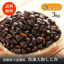 【宍道湖産 大和しじみ(冷凍 2Lサイズ 3kg)】送料無料 産地直送 冷凍クール便 山陰 島根 宍道湖 しじみ お土産 特産品 取り寄せ ギフト