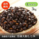 【宍道湖産 大和しじみ(冷凍Lサイズ 3Kg)】送料無料 産地直送 冷凍クール便 山陰 島根 宍道湖 しじみ お土産 特産品 取り寄せ ギフト