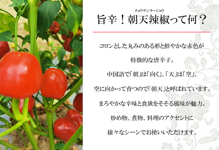 朝天 辣椒 横 ハーフカット (500g) 【旨辛！まろやかな辛味が食欲をそそる 唐辛子 】 sannmei-10000028 SANMEI - 小熊猫キッチン - サンプル画像2