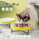 食器台 早食い防止食器 ペットボウル フードボウル フードボウルスタンドセット 食器 陶器 高い 高さがある 犬/猫向き 丸飲み防止 餌入れ エサ入れ 食器