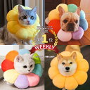 \15日ポイント10倍×最大30%オフクーポン/エリザベスカラー ソフトタイプ 猫用 猫用品 猫グッズ 犬用 犬用品 犬グッズ ペット用品 エリザベス ドーナツ...