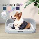犬トイレ 犬トイレトレー ワイド しつけ 清潔ほとばしり防止 犬用トイレ ペット用 トレーニングトイレ