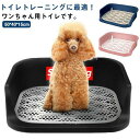 【最大2000円オフクーポン★お買い物マラソン】犬トイレ 犬 トイレ 犬用トイレ トイレ容器 トイレ本体 トレーニング Lサイズ おしゃれ トイレトレーニング ...
