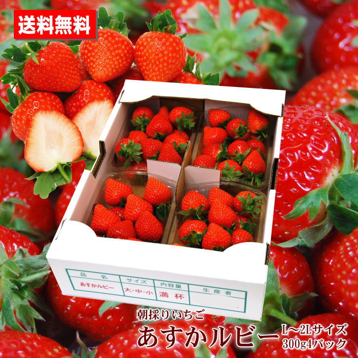 朝採りいちご あすかルビー 兵庫県自社ファーム産 L～2Lサイズ 300g4パック 送料無料 贈答用 ご家庭用 プレゼント 手土産 お祝いのサムネイル