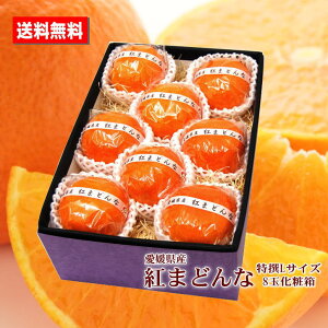 かんきつ 紅まどんな 愛媛県産 L～2Lサイズ 8玉 化粧箱 特撰 ブランド 高級 送料無料 贈答用 ご家庭用 プレゼント 手土産 お祝い クリスマス お歳暮