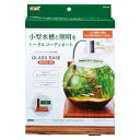 アウトレット箱に難有 グラスベース メープル200 コンパクト水槽用 木目専用プレート ライトスタンド付