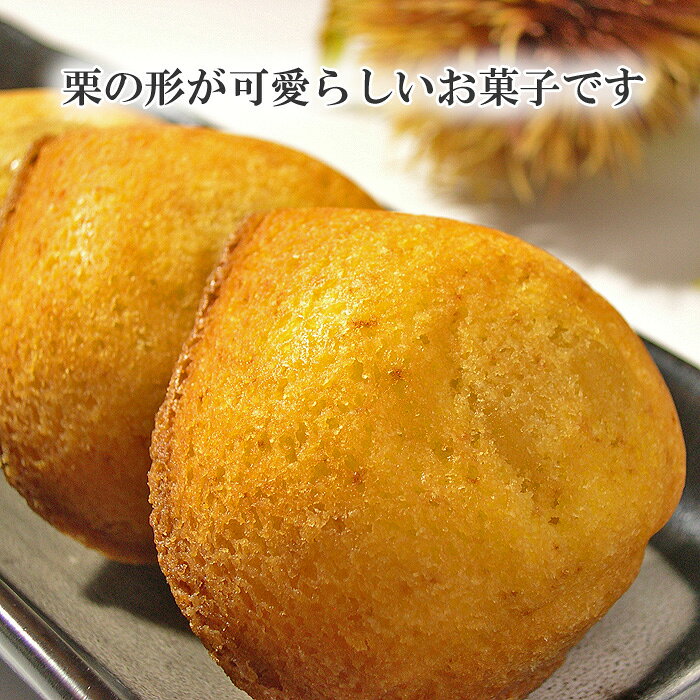 栗ひろい （10個入り）送料込！ 栗ケーキ マロンケーキ 内祝い ギフト 結婚 出産内祝い お中元 お歳暮 お年賀 お供え 法事 sanoken-10000086 スイーツギフト 佐野洋菓子研究部 サンプル画像2