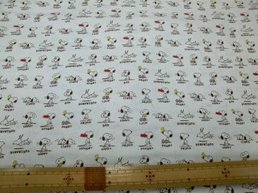 スヌーピー【PEANUTS】入園・入学グッズ、レッスンバック・お弁当袋・体操着袋・巾着袋などに!