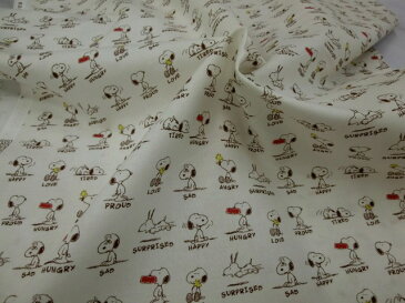 スヌーピー【PEANUTS】入園・入学グッズ、レッスンバック・お弁当袋・体操着袋・巾着袋などに!