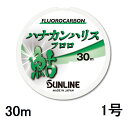 TC(SUNLINE) tJ[{C niJnXt 30mP 1