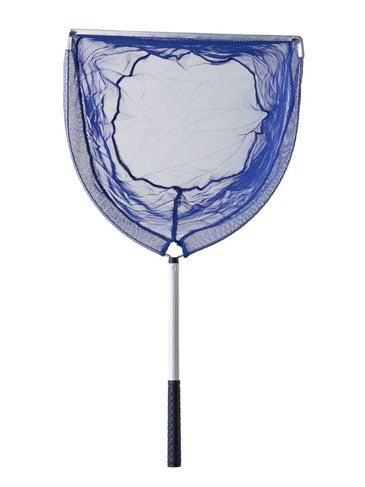 ľ֡ѥ졼֡AFR13036cm