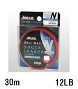 衼ʥ(Sanyo) APPLAUD SALT MAX SHOCK LEADERڥȥޥå å꡼ Х ʥ 30m 12LB