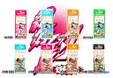 【クリックポスト】 マルシン漁具(DRAGON) 絶好調サビキ