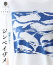 トップス アニマル柄 Tシャツ 体型カバー【優雅に泳ぐジンベイザメトップス】カットソー プリント柄 ホワイト 白 半袖 ギフトプレゼント かわいい どこにもない ゆったり 30代 40代 50代 60代 sanpo【b13070od】