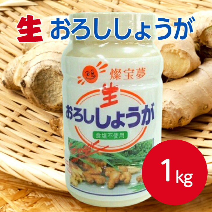 燦宝夢 生おろししょうが 1kg食塩不使用 ペースト おろし 生姜 ショウガ しょうが ジンジャー 簡単 便利 すりおろし 薬味 下味 調味料 業務用 家庭用 大容量 お買い得